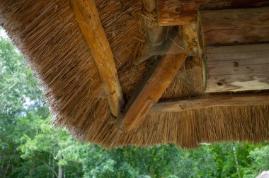 Örümcek ağlı eski sazdan çatı