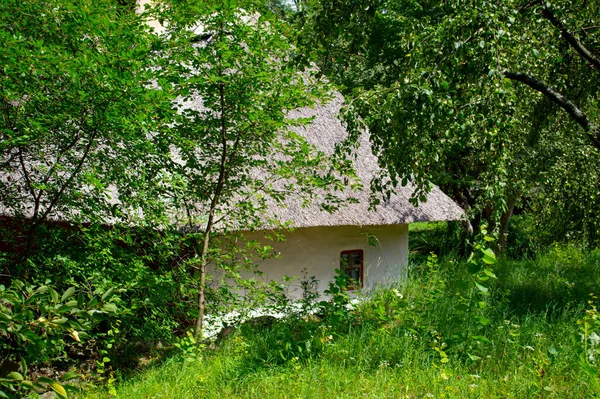 Vieja Casa Bosque — Foto de Stock