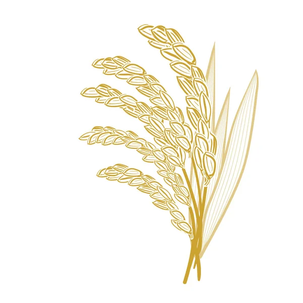 Weizenstiele Blätter Mit Bäuerlichem Hintergrund — Stockvektor
