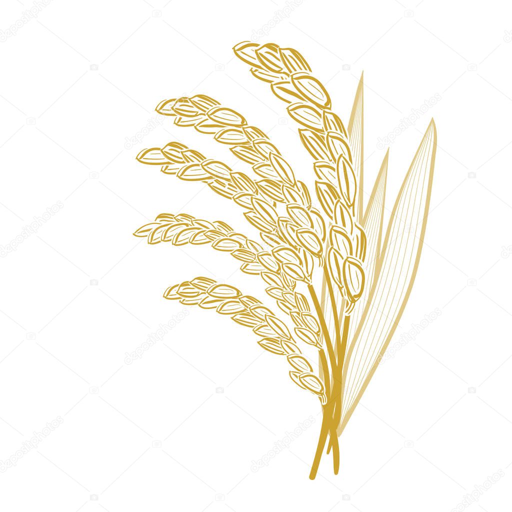 Wheat stalks & leaves with farm background.