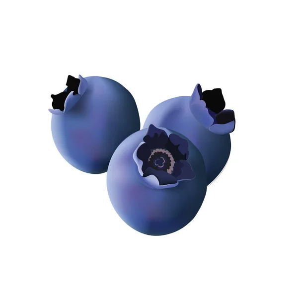 bir grup yaban mersini