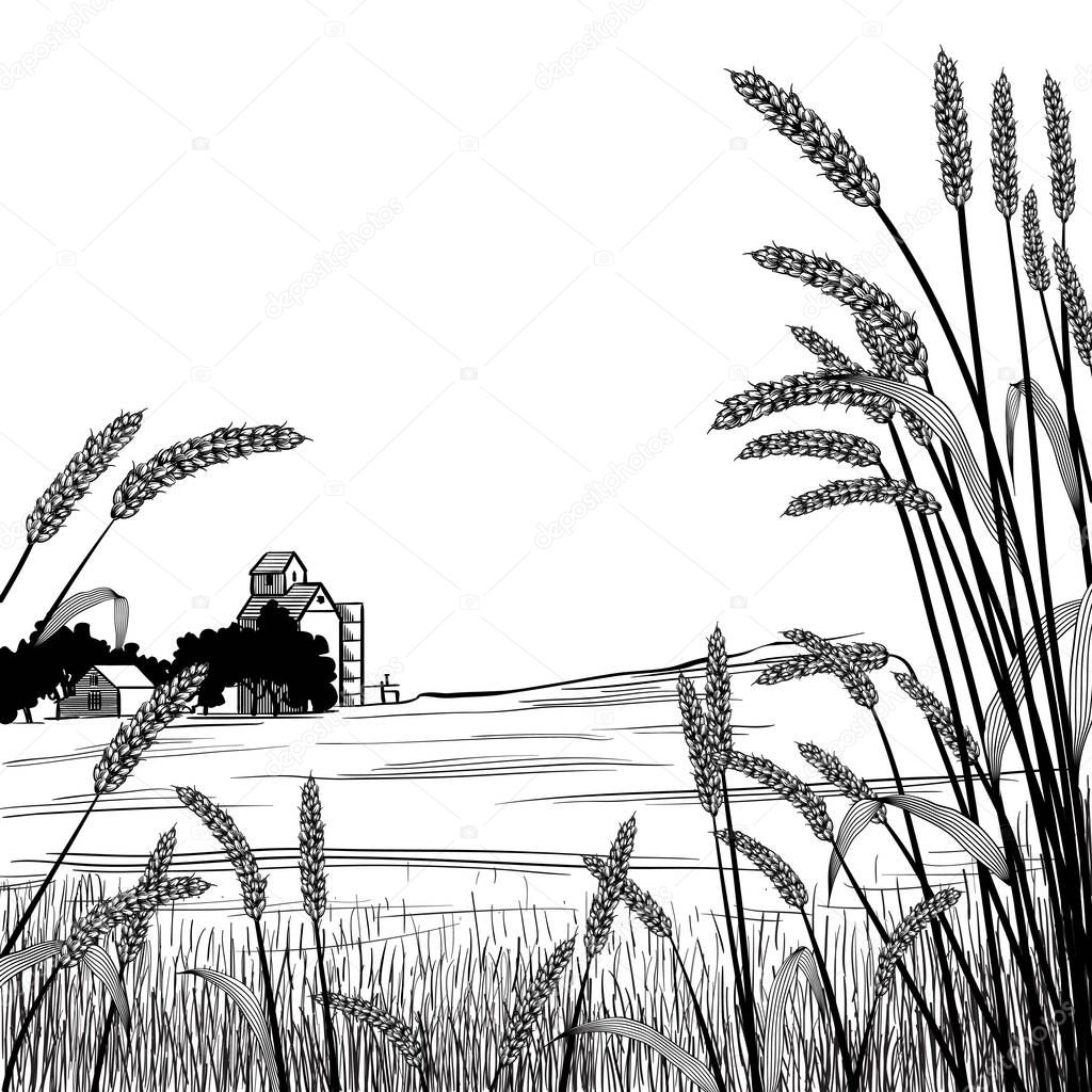 View of across a wheat field at a farm and silo with wheat grass strands framing the scene in the foreground
