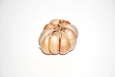 Tek bir sarımsak soğanı parlak beyaz bir zemine oturur. Ayrıntılı bir stüdyo çekimi..