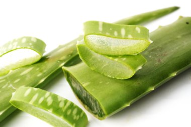 Aloe jeli taze aloe vera yaprağından düşüyor. Arka planda Aloe Vera bitkisi.