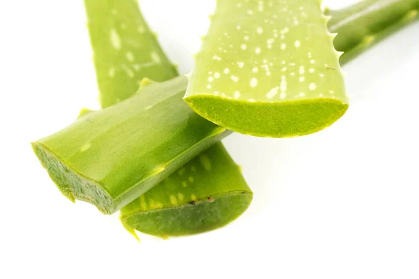 Dilimlenmiş aloe vera yapraklarının sulu yeşil dokusunu gösteren makro görünümü