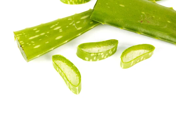 Beyaz arka planda izole edilmiş su damlalarıyla kaplı taze aloe vera yaprakları..