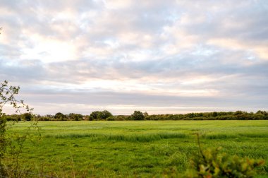 İngiliz kırsalında bulutlu bir gökyüzünün altında uzanan geniş yeşil bir çayır..