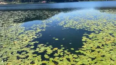 Görkemli nehirler ve dağlar: Güzel bir manzara gözler önüne seriliyor