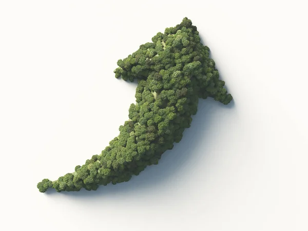 Uma Colina Forma Uma Seta Subindo Uma Floresta Verde Cobrindo — Fotografia de Stock