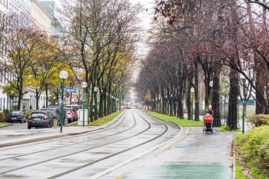 Avusturya 'nın Viyana şehrinde, yağmurlu bir günde ağaçlı tramvay için sokak manzarası.