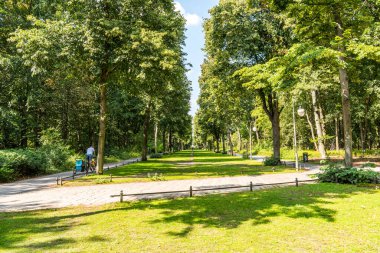 Tiergarten parkındaki patika..