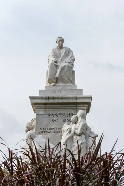 Statuia Marmură Lui Louis Pasteur Biolog Microbiolog Chimist Francez Renumit — Fotografie, imagine de stoc