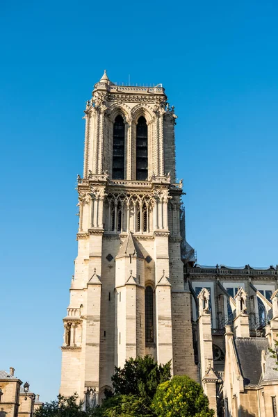 Wieża Notre Dame Paris Wielkim Pożarze Średniowieczna Katolicka Katedra Cite — Zdjęcie stockowe