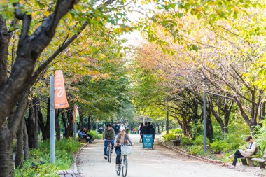Güney Kore 'deki Seul şehir merkezindeki Seul orman parkındaki köprüde bisiklet süren insanlar var.