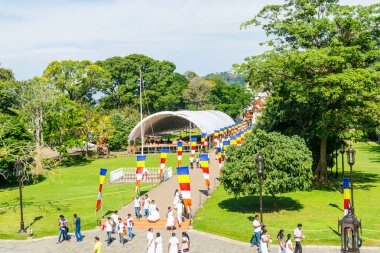 Sri Dalada Maligawa ya da Sri Lanka 'daki Kutsal Diş Anıtı Tapınağı' na yürüyen Budist hacılar Vesak Günü 'nü ya da Buda Jayanti, Buda Günü' nü kutluyorlar..