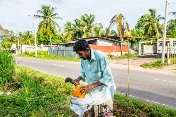 Hombre Sri Lanka Cortando Cáscara Coco Rey Amarillo Por Machete — Foto de Stock