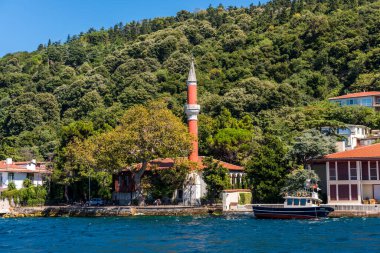 Türkiye 'nin İstanbul kentindeki İstanbul Boğazı' nda yaz mevsiminde, Türk ulusal bayrağı ve yeşil ormanıyla birlikte güzel cami ve köşkler. Bir Gemi Gezisinden Görünüm.