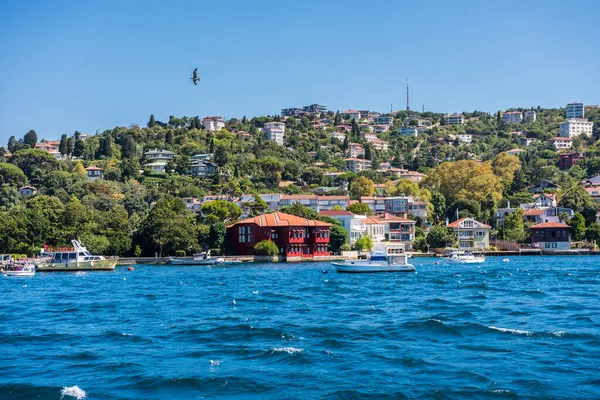 Türkiye 'nin İstanbul kentindeki İstanbul Boğazı' nda yaz mevsiminde yeşil ormanlı güzel binalar ve malikaneler. Bir Gemi Gezisinden Görünüm.