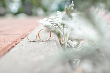 Alyansların fotoğrafı.