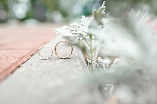 Alyansların fotoğrafı.