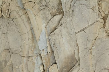 Gri kaba kaya oluşumları