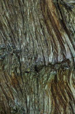 Pürüzsüz ahşap yüzey