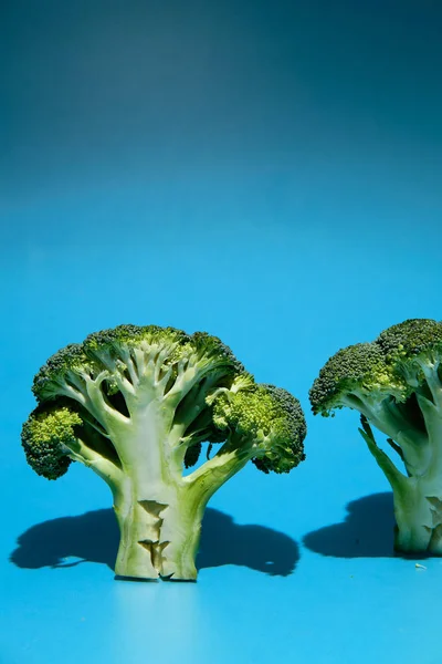 Brokoli dengan latar belakang biru — Stok Foto