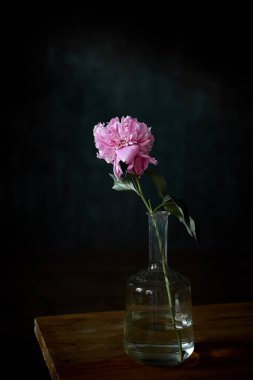 Cam vazoda pembe şakayık, siyah arka planda bir masada.