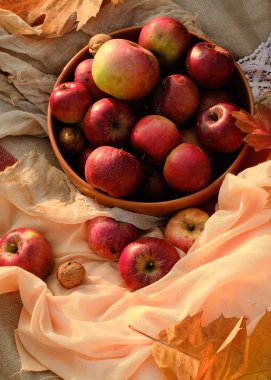 Piknik masasında kırmızı elmalı tabak.