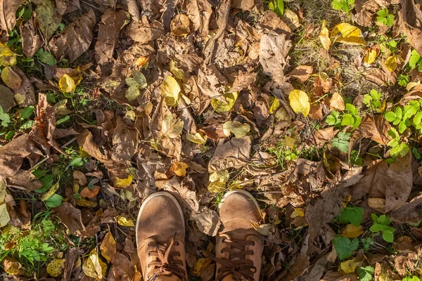Дитячі ноги в коричневих черевиках на тлі осіннього опалого листя — стокове фото