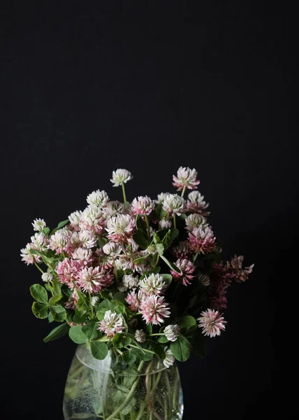 Boeket van wilde bloemen klaver in een glazen vaas geïsoleerd op zwarte achtergrond. Kopieerruimte — Stockfoto