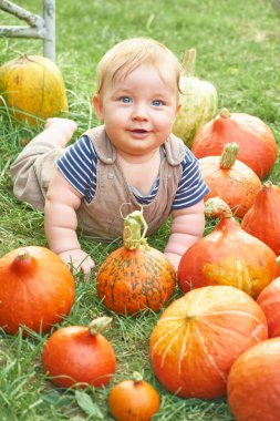 Yeşil çimenlerin üzerinde gülümseyen küçük beyaz ve turuncu balkabakları.