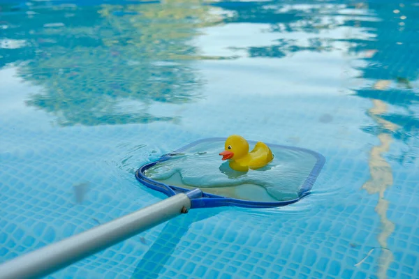 Pato de goma amarillo en una red de piscina en el fondo de agua azul de la piscina marco. Productos y accesorios para el mantenimiento de piscinas. — Foto de Stock