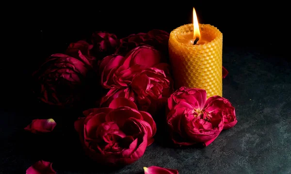 Belle teste di rosa pianoforte rosso scuro e petali su uno sfondo nero. Composizione floreale romantica festiva. — Foto Stock