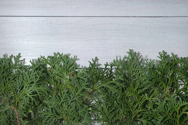 Grüne Wacholderzweige auf weißem Holzgrund. Minimalistischer weihnachtlicher Hintergrund. Rahmen- und Kopierraum. — Stockfoto