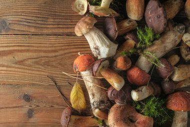 Ahşap bir arka planda taze yabani mantarlar, üst manzara, kopyalama alanı. Sonbahar konsepti.