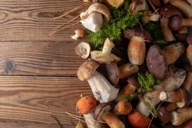 Ahşap bir arka planda taze yabani mantarlar, üst manzara, kopyalama alanı. Sonbahar konsepti.