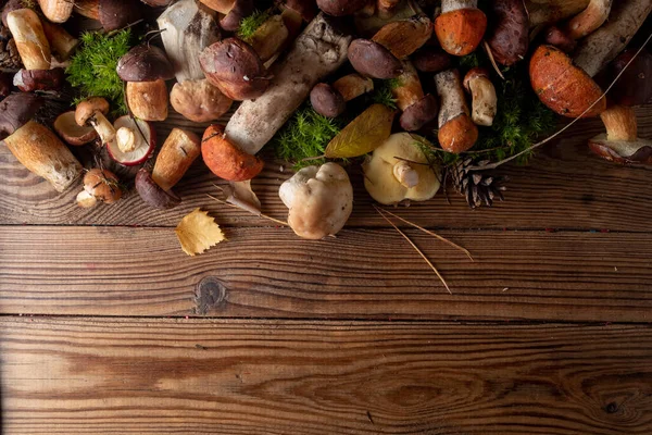 Funghi selvatici freschi diversi su uno sfondo di legno, vista dall'alto, spazio copia. Concetto autunno. — Foto Stock