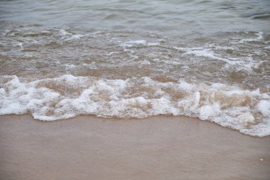 Denizden gelen köpüklü küçük dalgaların yatay yakın plan çekimleri kumlu bir plajda süzülüyor. Suyun karayla buluştuğu andaki görüntüsü yumuşak, doğal bir renk paletiyle. Boşluğu kopyala 