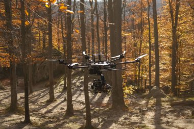 Golden aerial view of a forest with autumn foliage captured by a professional drone, highlighting vibrant fall colors and sunlight filtering through the trees. ideal for themes of innovation, nature