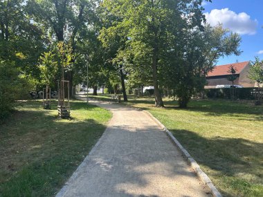 Parktaki patikanın dikey görüntüsü.