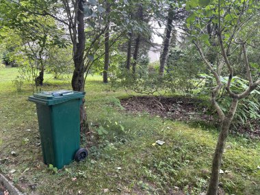 Parkta yeşil çimenler