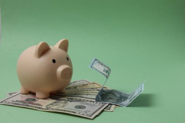 Domuz kumbarası, yeşil arka planda para doları.