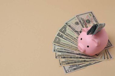 Domuz kumbarası, para doları. Bej bir arka plan.