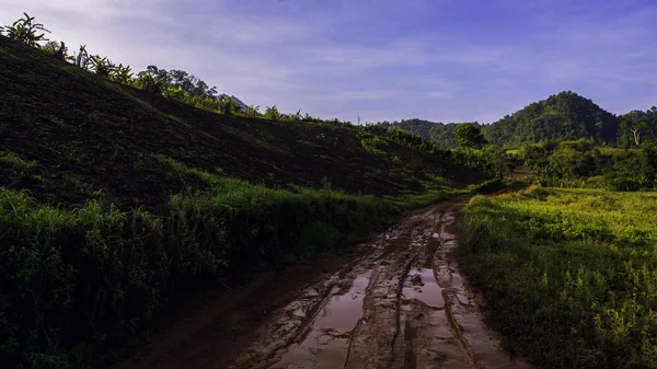 Muddy Roads Only Agricultural Vehicles Can Pass Created Transport Vegetables — Stock Photo, Image