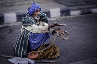 Varanasi, Hindistan 24 Mart: Hint erkekler yılan tencere dışında gösteriliyor. Birçok kişi bir kariyer Varanasi, Hindistan'da 24 Mart 2018 üzerinde yapabilir.