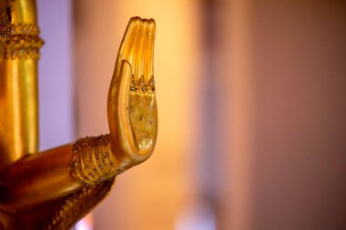 Buda 'nın eli gösteride farklı parmaklarla çeşitli jestlerle gösterildi.