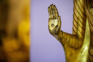 Buda 'nın eli gösteride farklı parmaklarla çeşitli jestlerle gösterildi.