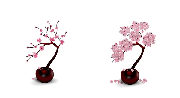 Sakura Ikebana. Composición. Dos Dibujos de flores en macetas. Aislado sobre fondo blanco. ilustración — Vector de stock