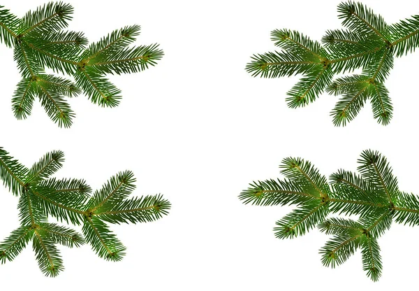 Quatro ramos realistas verdes de abeto ou pinheiro close-up com cones. ramificado para fora. Isolado em fundo branco. Ilustração —  Vetores de Stock
